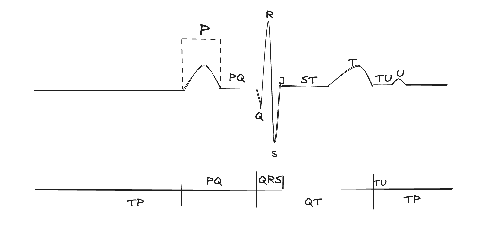 ECG segments mockup